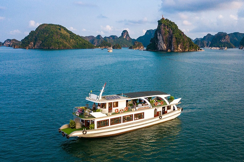 Wonderbay Cruise - Luxury 01 day Halong